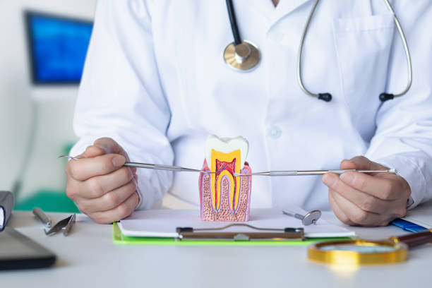 Best Emergency Broken Tooth Repair in Forestville, CA